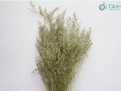 Bó 7-10 cành hoa sao khô trang trí F-HKHO-08